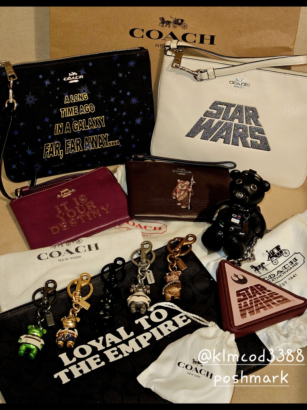 COACH-STAR WARS (Key Chain Bears)
